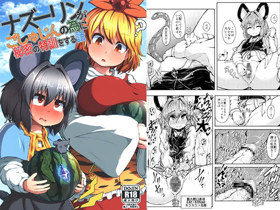 ナズーリンがごしゅじんの為に秘密の特訓をする話 [チーズカンパニー] | DLsite 同人 - R18