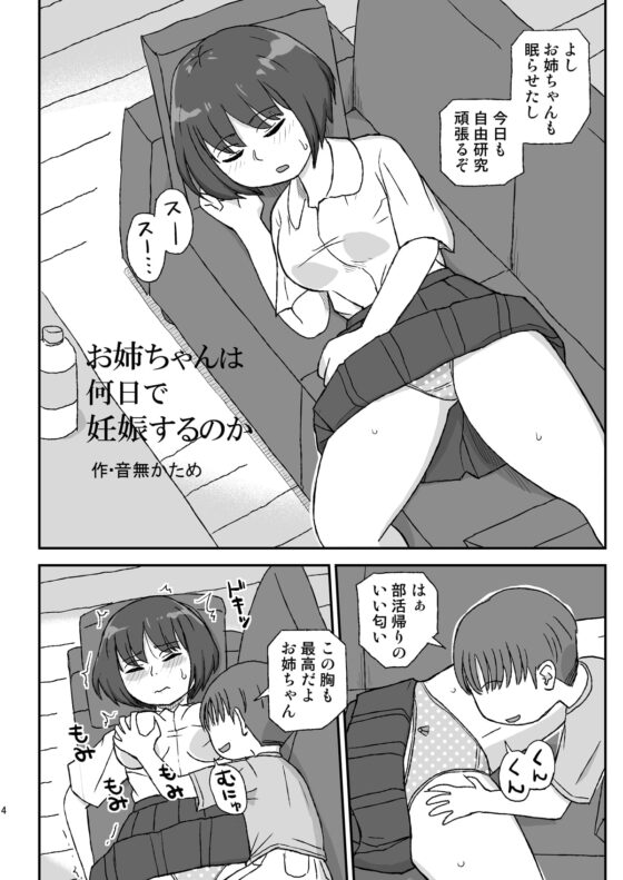 お姉ちゃんは何日で妊娠するのか [自動操縦] | DLsite 同人 - R18