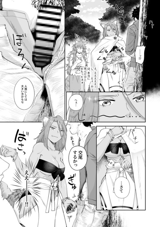 ケモ耳娘とゼロから性活2 [欠伸してる猫の心] | DLsite 同人 - R18