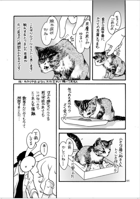 ねこと(乱痴気事虫所) - FANZA同人