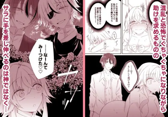 溺愛系ヤンデレ兄弟王子は愛しの神官を魔族堕ちさせたい(はとペア) - FANZA同人