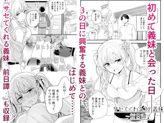 サセてくれる義妹との3月3日 [ヒロノ家] | DLsite 同人 - R18