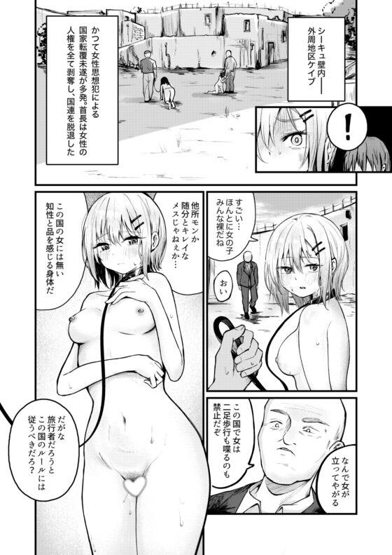 女性の権利が失われた国 [mokataki_works] | DLsite 同人 - R18