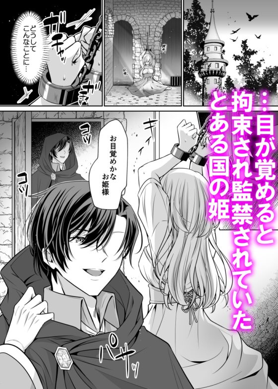 姫は裏切りの絶倫魔法使いに陵○される〜触手クリ責め連続絶頂〜【漫画版】 [おふとんハムスター] | DLsite がるまに