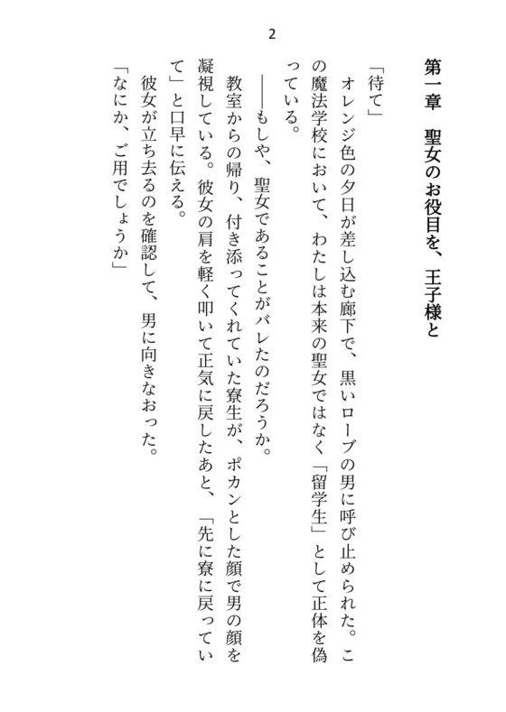 王子&大魔法使い様と義務でセックスしてた召還聖女ですが世界を救ったのち、逃げてしまいました [さみどり] | DLsite がるまに