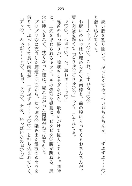 王子&大魔法使い様と義務でセックスしてた召還聖女ですが世界を救ったのち、逃げてしまいました [さみどり] | DLsite がるまに