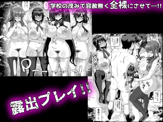 デカチンになったら巨乳幼馴染とその巨乳友達たちが発情してハーレムになった!!3 露出参姦 [さいくら・のうしゅ] | DLsite 同人 - R18