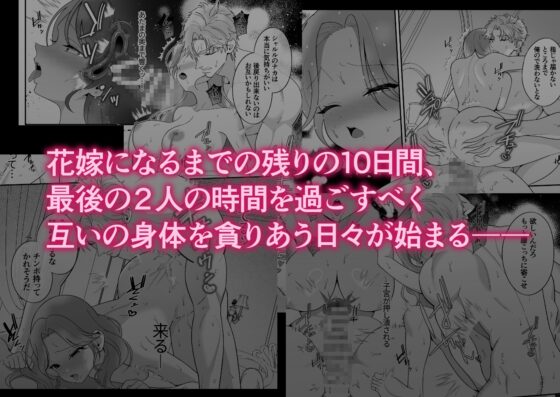 嫁入り前の貴族令嬢は執事と甘く淫らに堕つ～花嫁になるまでの10日間幼馴染執事からの甘い調教～ [にゃんこたつ] | DLsite がるまに