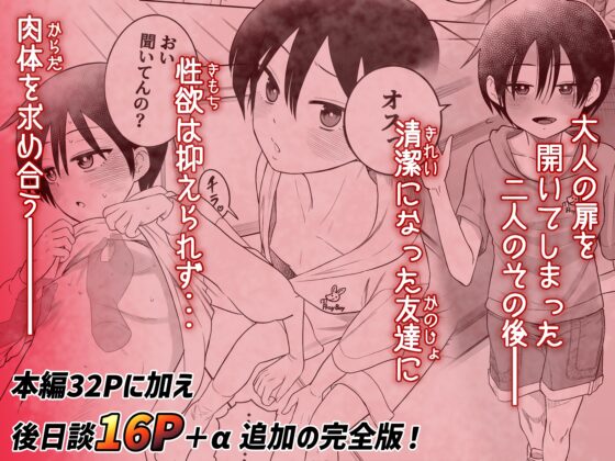団地の友達 [百々目ぶらんこ堂] | DLsite 同人 - R18