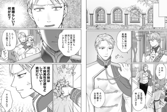 妹は堅物騎士のお兄様を淫れ堕としたい3 [bozzolo] | DLsite がるまに