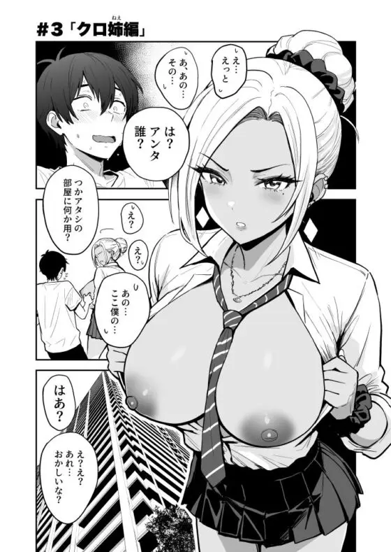 ギャルとめっちゃ生ハメ中出しえっちするハナシ #03(坂本商店(西沢みずき))|FANZA同人