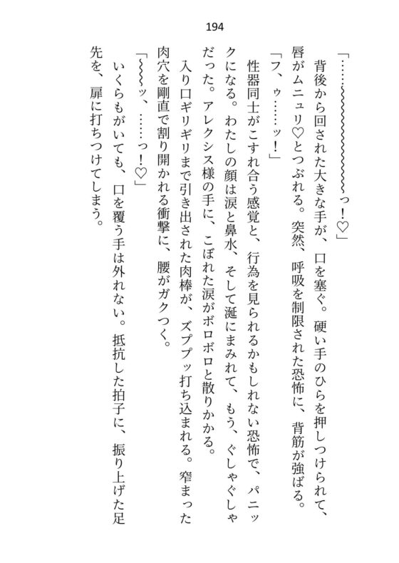 氷の大公殿下ですが、触れられる妻(わたし)を迎えてから夫婦の営みに夢中になりすぎです [さみどり] | DLsite がるまに