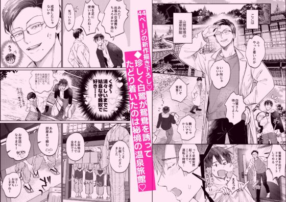 性的に懲らしめて愛が融ける本【せいこらシリーズ総集編】 [OHAGI HANGAKU] | DLsite がるまに