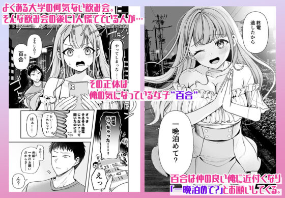終電逃したから一晩泊めて?(みっつまん)|FANZA同人