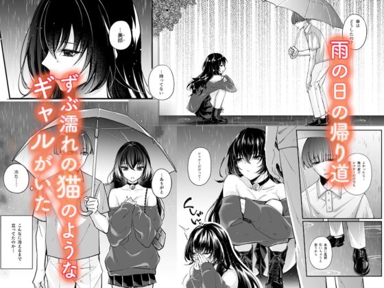 ずぶ濡れの猫系ギャルを拾ったので家で飼うことにします(聖華快楽書店)|FANZA同人