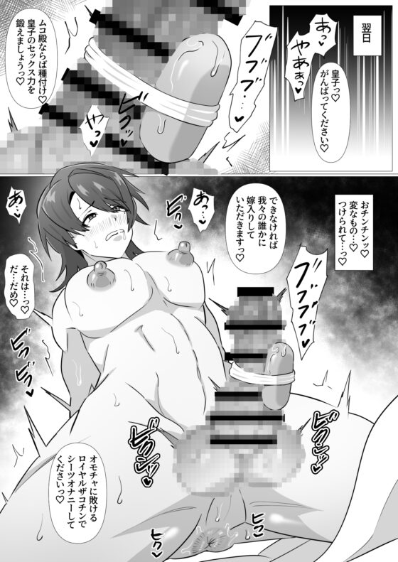 ムコ入り皇子のオス検査 [満足する同盟] | DLsite がるまに