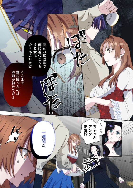 Limit Testing〜闇落ち勇者は転生した元聖女を逃さない〜 [混萠NATION] | DLsite がるまに