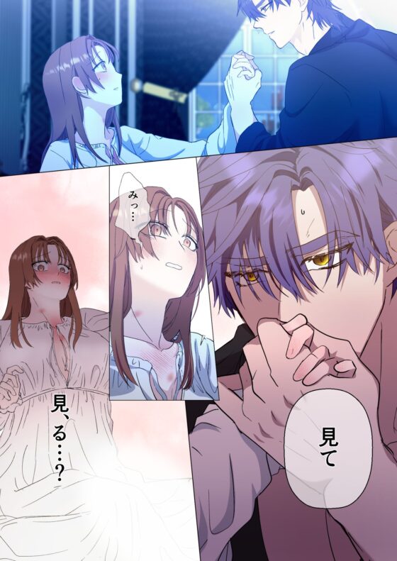 Limit Testing〜闇落ち勇者は転生した元聖女を逃さない〜 [混萠NATION] | DLsite がるまに
