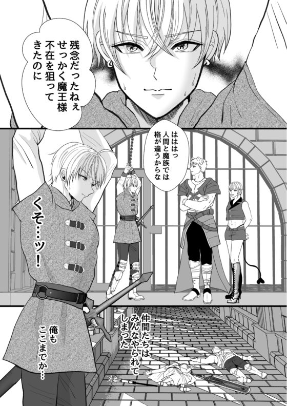 勇者が堕ちるまで [えんがわ屋] | DLsite がるまに