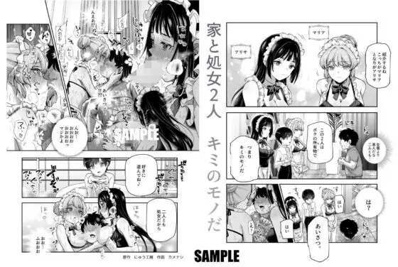 ボクの人権をあげるEX 学校で一番モテて金持ちで天才のエリートが誕生日プレゼントに人権をくれた話(しかも女)(にゅう工房)|FANZA同人
