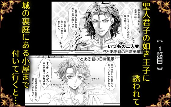 クズ王子と竿付き愛妃の淫蕩なる日々～溺愛王子×獣人傭兵短編集～ [studio A] | DLsite がるまに