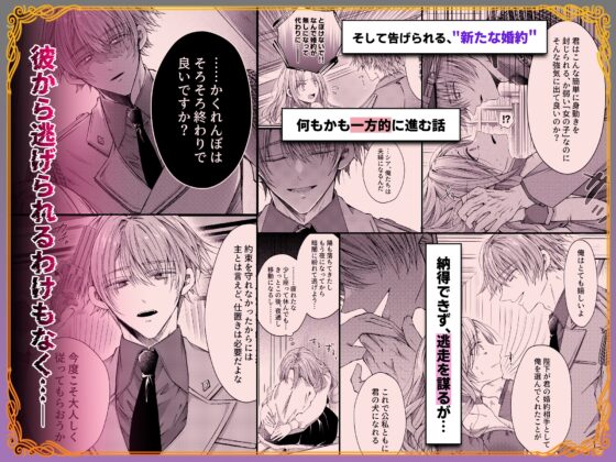 姫様に忠誠を誓ったはずの軍人は、逆に誓いを求める狂犬になりました [はとペア] | DLsite がるまに