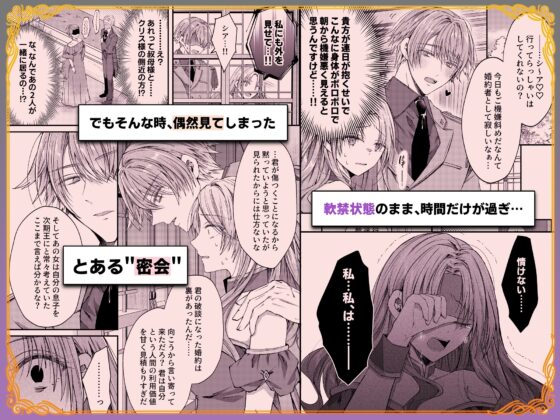 姫様に忠誠を誓ったはずの軍人は、逆に誓いを求める狂犬になりました [はとペア] | DLsite がるまに