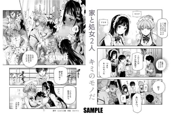 ボクの人権をあげるEX 学校で一番モテて金持ちで天才のエリートが誕生日プレゼントに人権をくれた話(しかも女)(にゅう工房)|FANZA同人