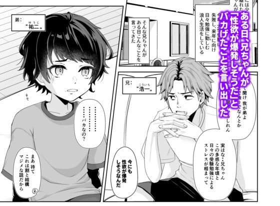 兄ちゃんの性欲発散の手伝いをする話 [アルライケ] | DLsite がるまに