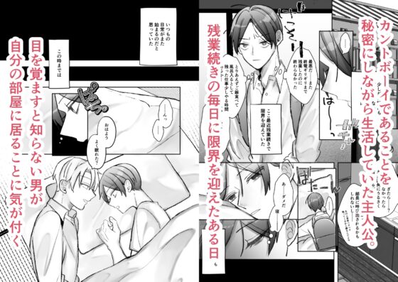 社長に愛されたカントボーイくんのクリ責め連続絶頂 [ふふばこ] | DLsite がるまに