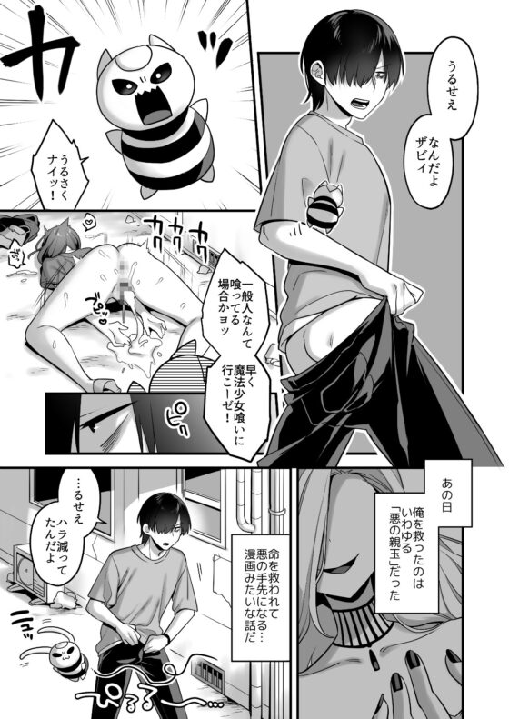 悪の手先になったので。～魔法少女を凌○します～ [うーらる] | DLsite 同人 - R18