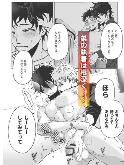 オレだけのお兄ちゃん・終 [モロモロ] | DLsite がるまに