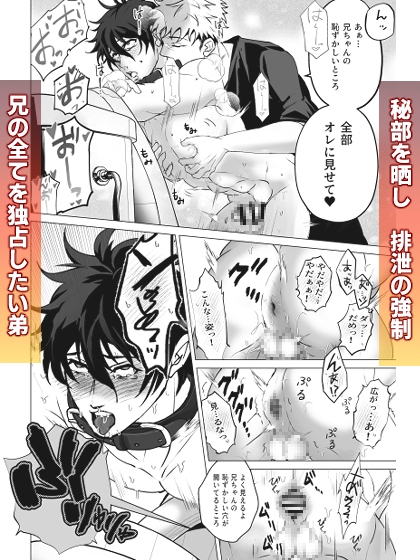 オレだけのお兄ちゃん・終 [モロモロ] | DLsite がるまに