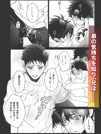 オレだけのお兄ちゃん・終 [モロモロ] | DLsite がるまに