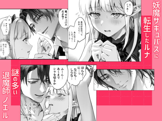 ワケアリ退魔師は転生サキュバスと死を賭けた恋をする(サゲジョー)｜FANZA同人