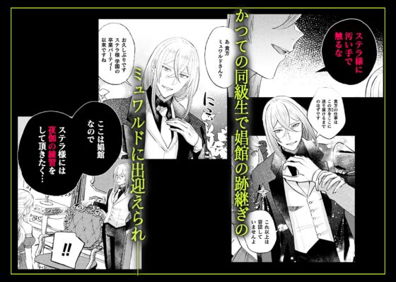 墜下の輝星 [ChuChuメルト商会] | DLsite がるまに