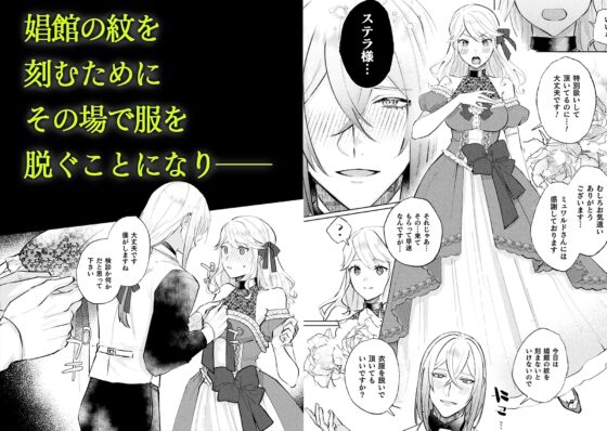 墜下の輝星 [ChuChuメルト商会] | DLsite がるまに