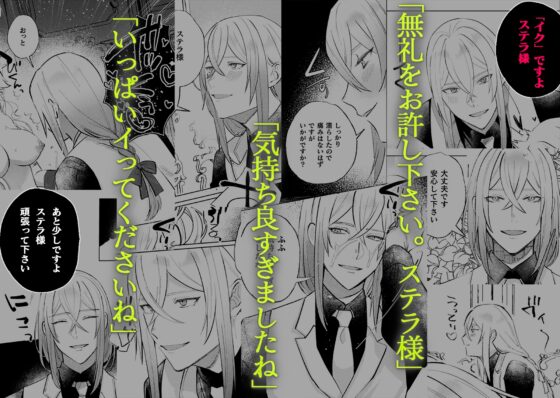 墜下の輝星 [ChuChuメルト商会] | DLsite がるまに