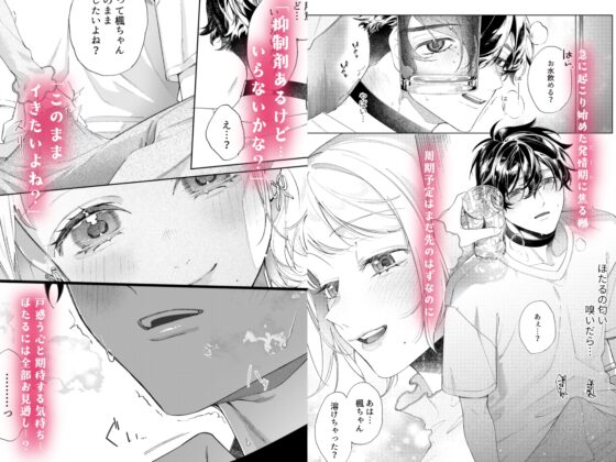 聡い彼女 愛しいこの子は俺の番 [ましまろしろくま] | DLsite がるまに