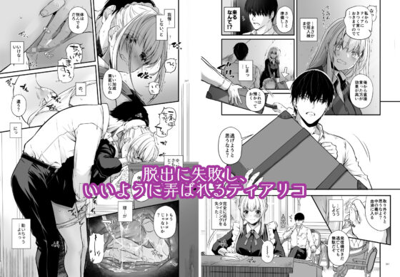 敵国貴族の執着溺愛(Digital Lover)|FANZA同人