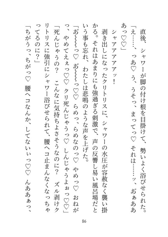 彼氏にフラれたので温泉へ傷心旅行に来たのですが、出会ったばかりのイケメン作家(推し)に朝まで抱かれてしまいました [シルクハニーラボ] | DLsite がるまに