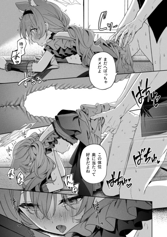 空色アンコール [HIGH:LAND] | DLsite 同人 - R18