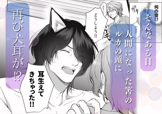 イケオジになった愛犬が毎晩私で発情してます [うすのおしり] | DLsite がるまに
