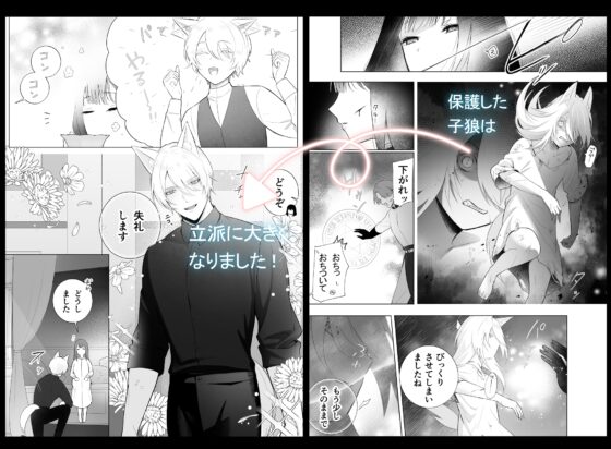 おっとり聖女、年下執着獣人の番になる [もくば箱] | DLsite がるまに