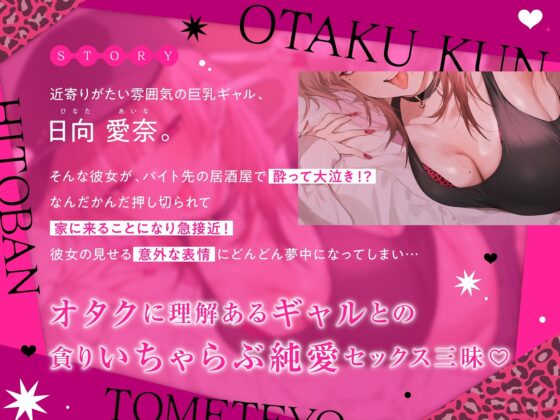 一晩泊めてよ、オタクくん 音声編(いちのや)｜FANZA同人
