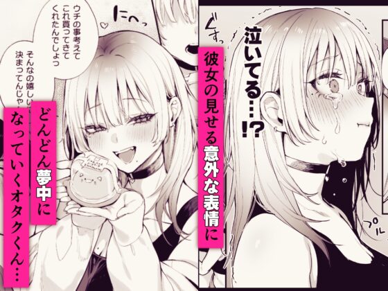 一晩泊めてよ、オタクくん [だにまるstudio] | DLsite 同人 - R18