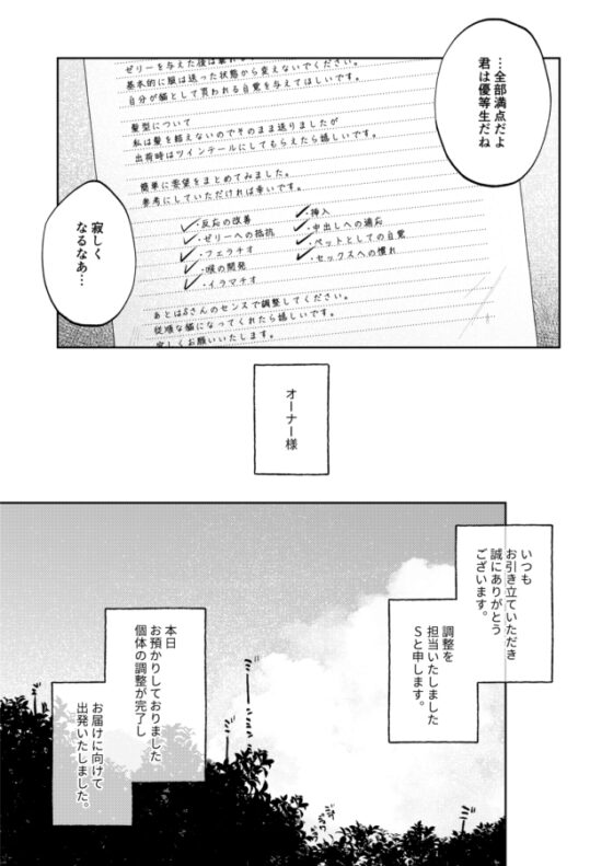 調整記録 ご主人様(あなた)の元へ届くまで [しぷおる] | DLsite 同人 - R18