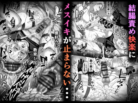 エリートエージェント、大量ザー汁洗脳メス穴訓練編 [ドクダミ僧] | DLsite がるまに