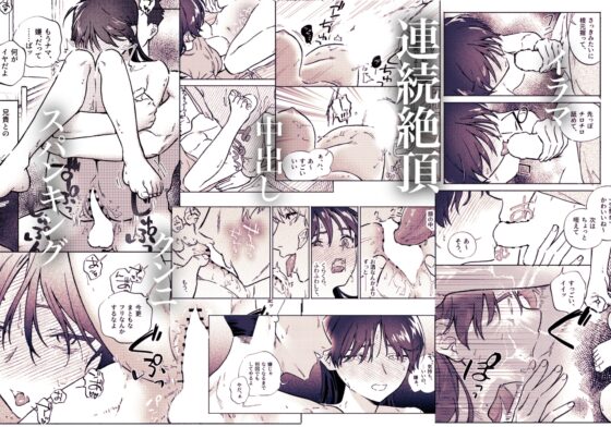 お兄ちゃんが優しくない～流されセックス後、無限お仕置き近親セックス～ [蕩々堂] | DLsite がるまに
