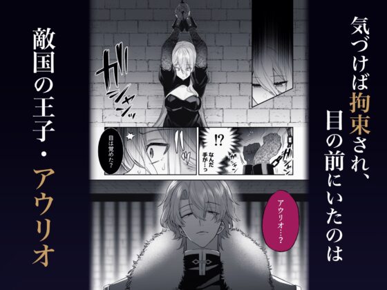 王女殿下は謎の豹変執着王子に孕ませられる [藍田まろやか] | DLsite がるまに